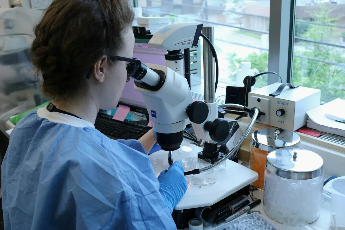 A woman is looking into a microscope for a research allowance.